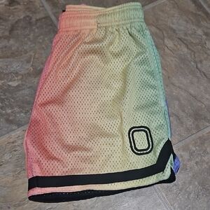Multicolor Mesh Athletic Shorts